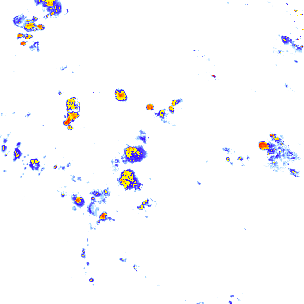 rainLayer