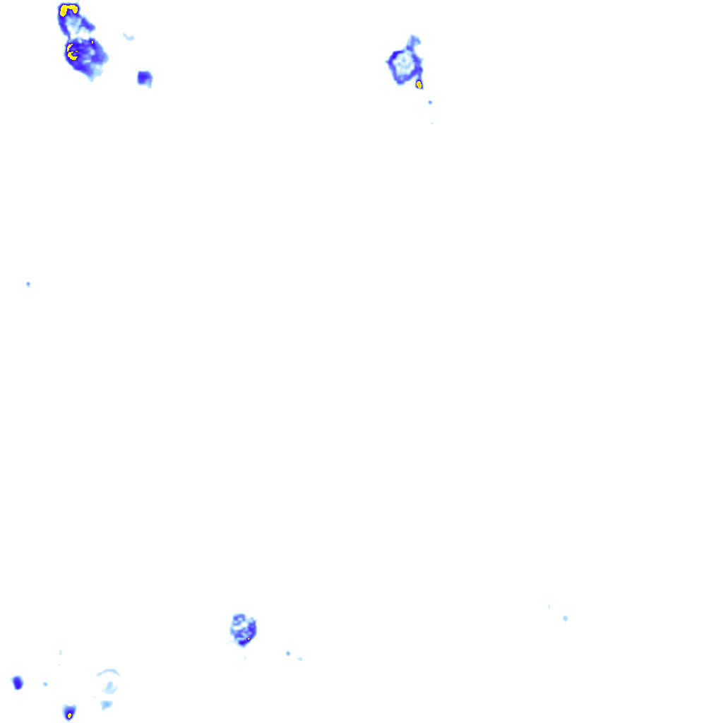rainLayer
