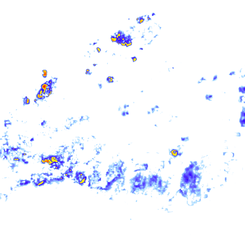 rainLayer