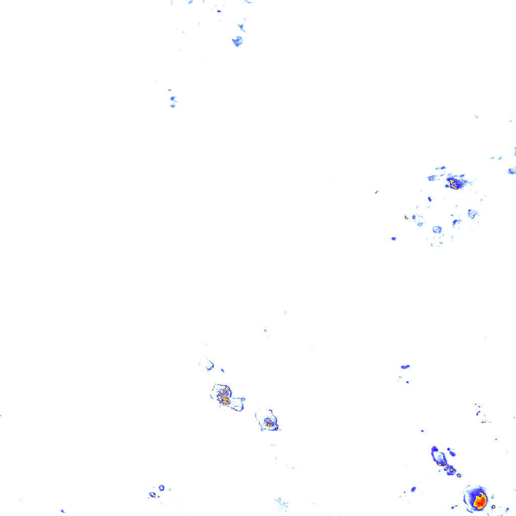 rainLayer