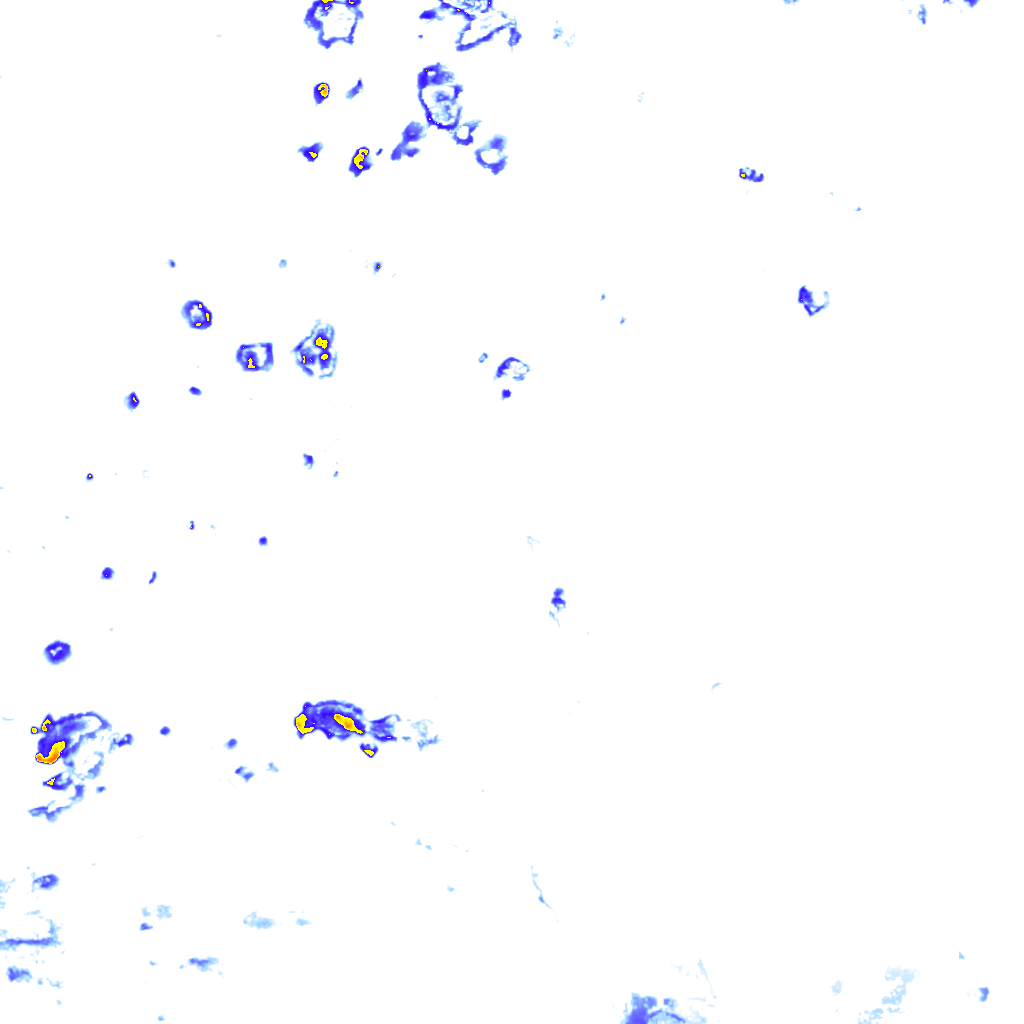 rainLayer