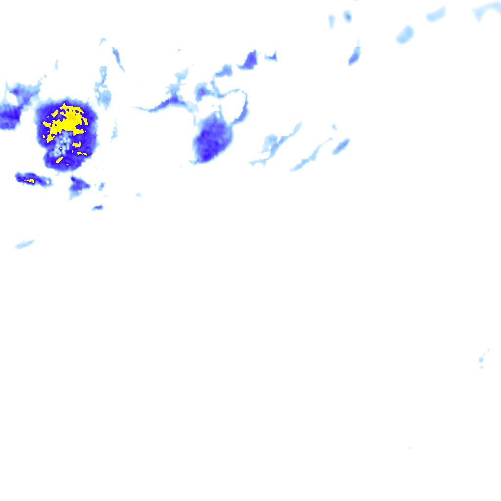 rainLayer