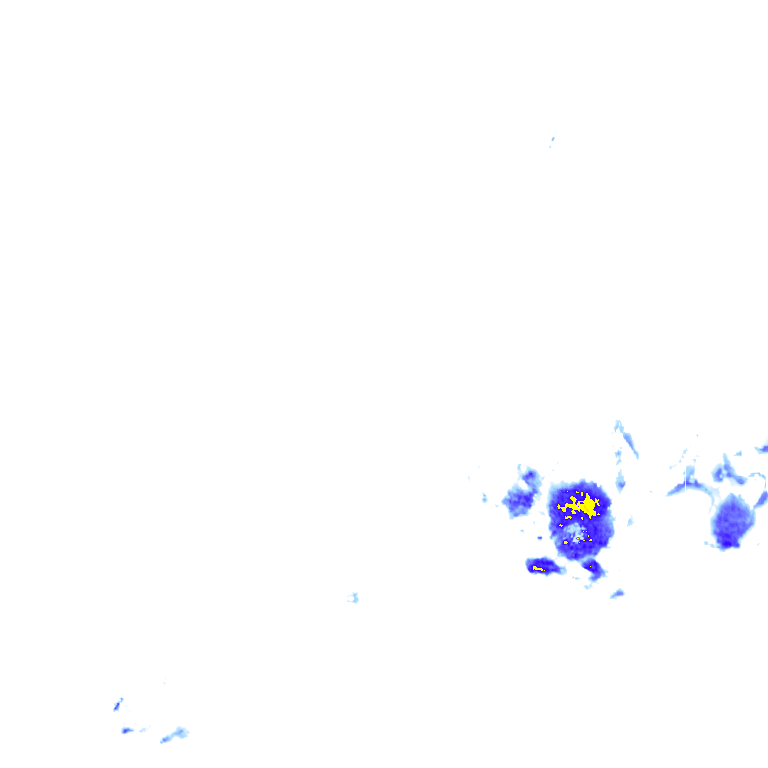 rainLayer