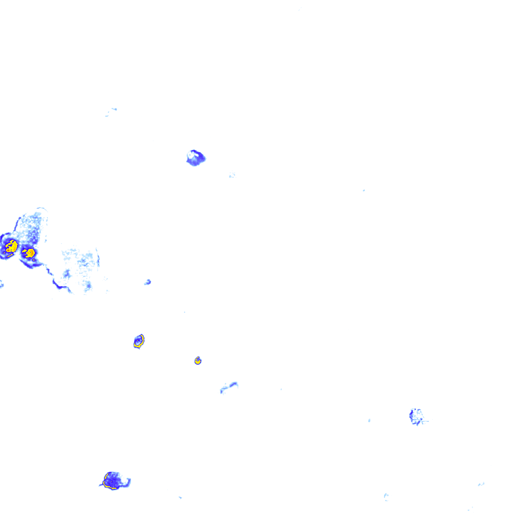 rainLayer