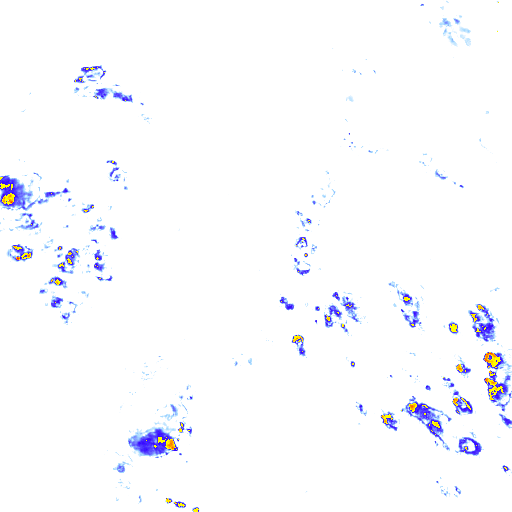 rainLayer