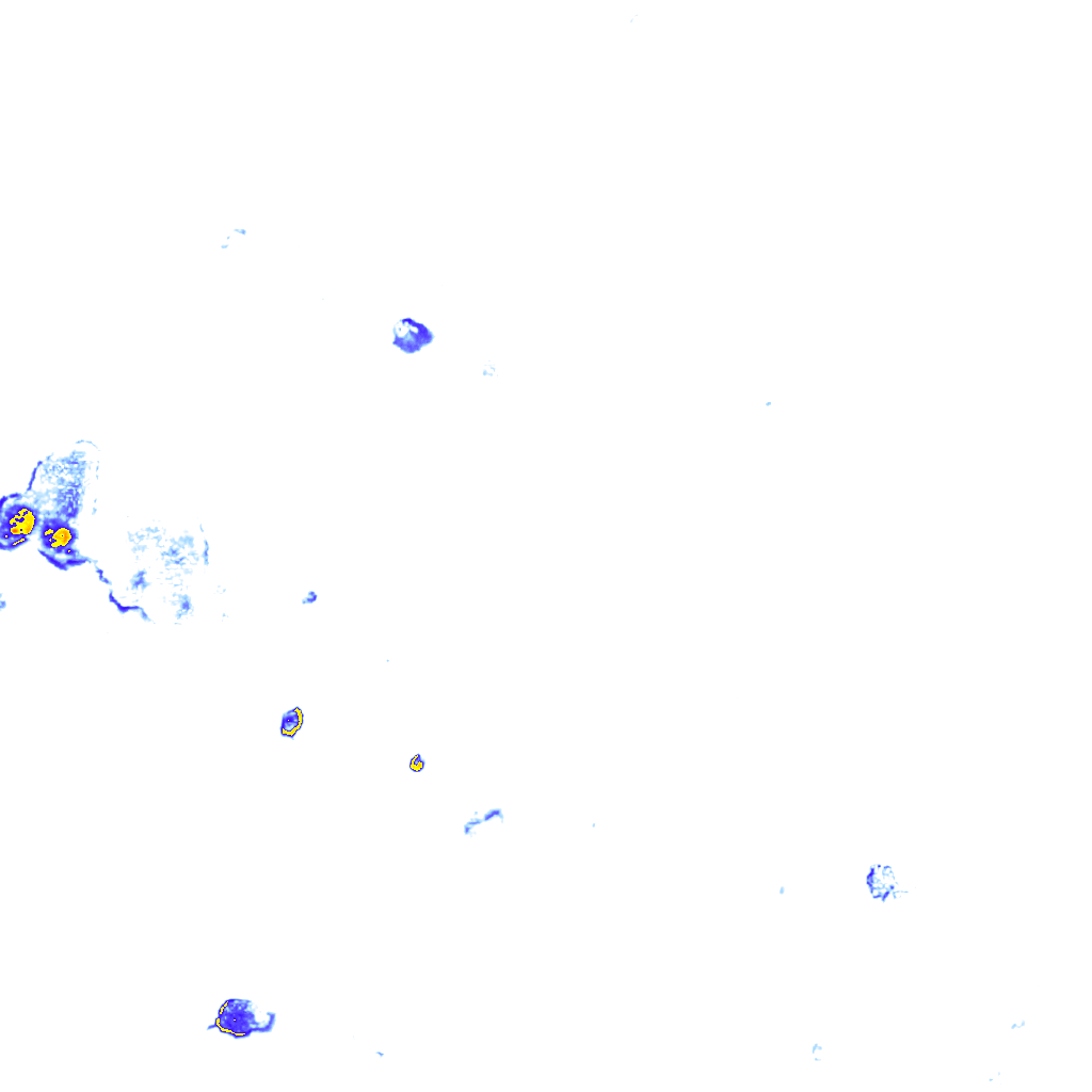 rainLayer