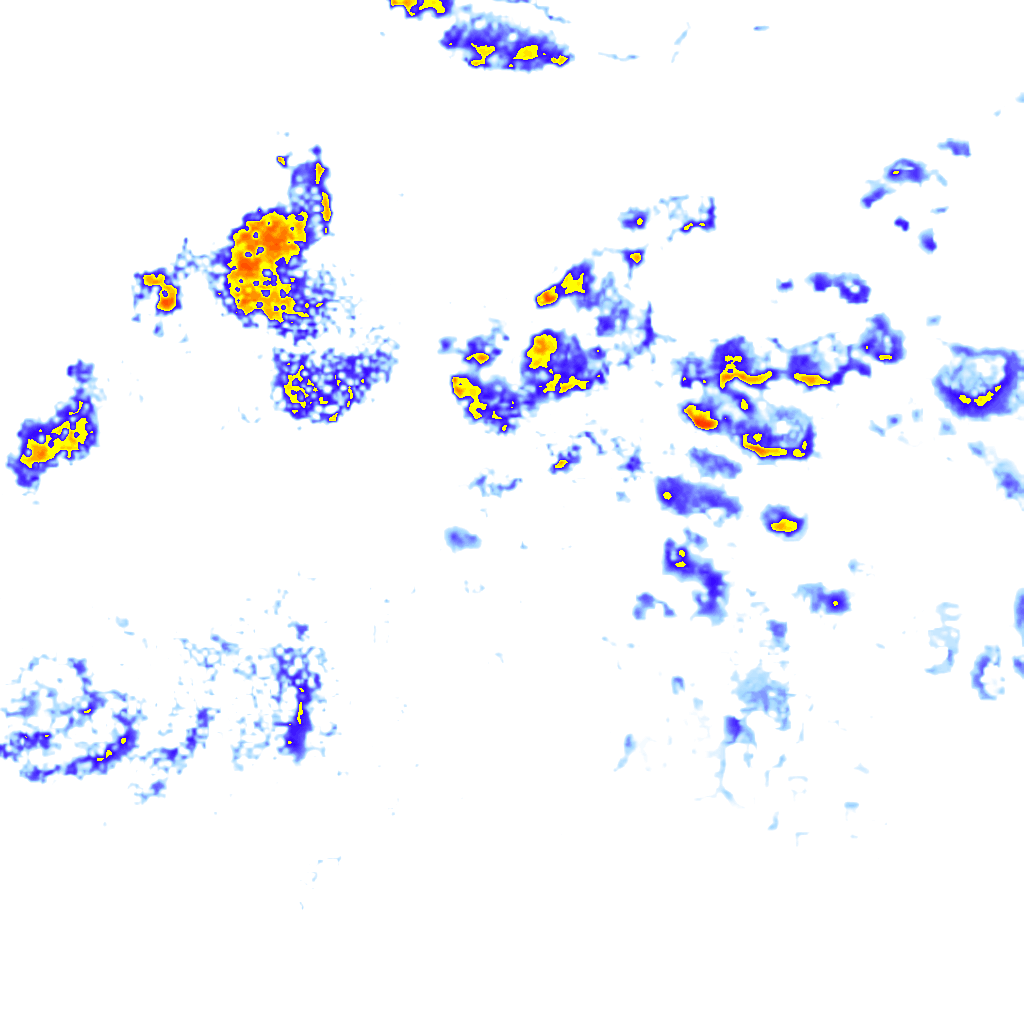 rainLayer