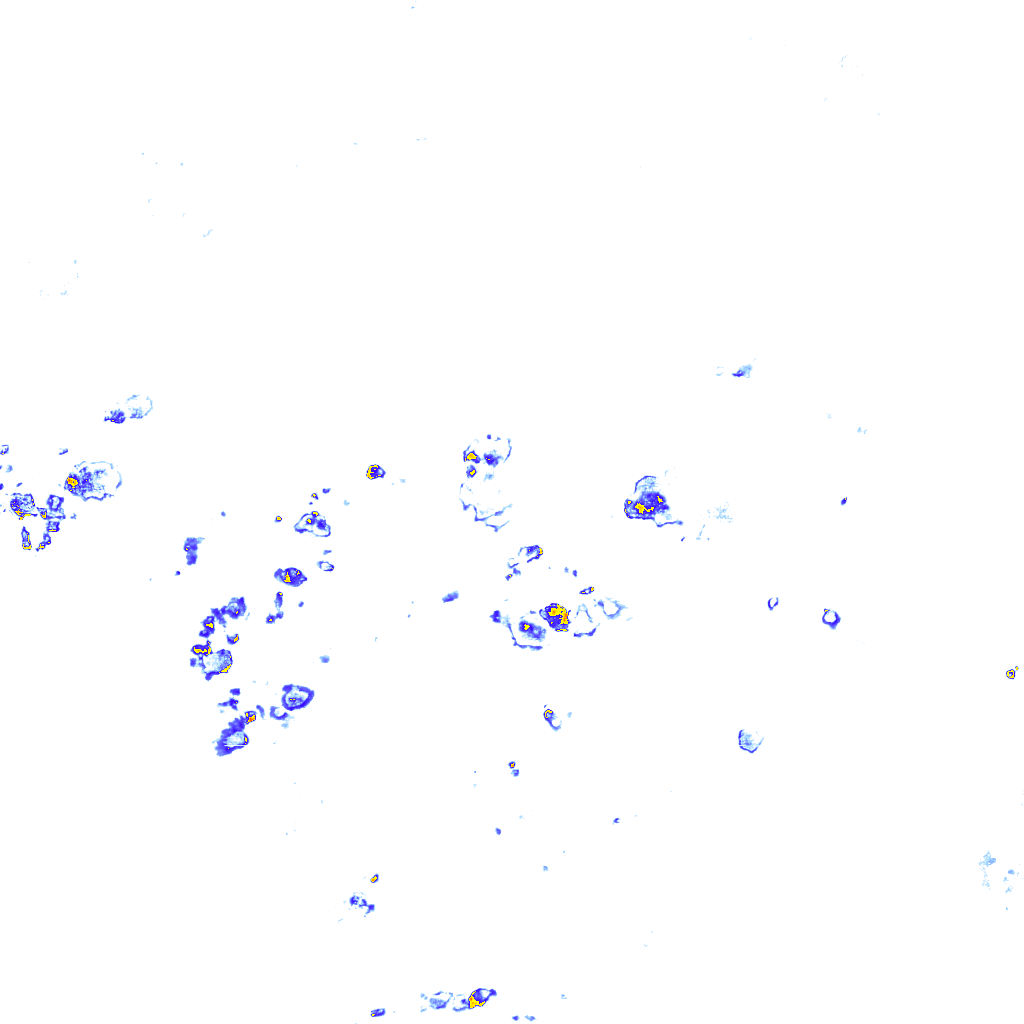 rainLayer