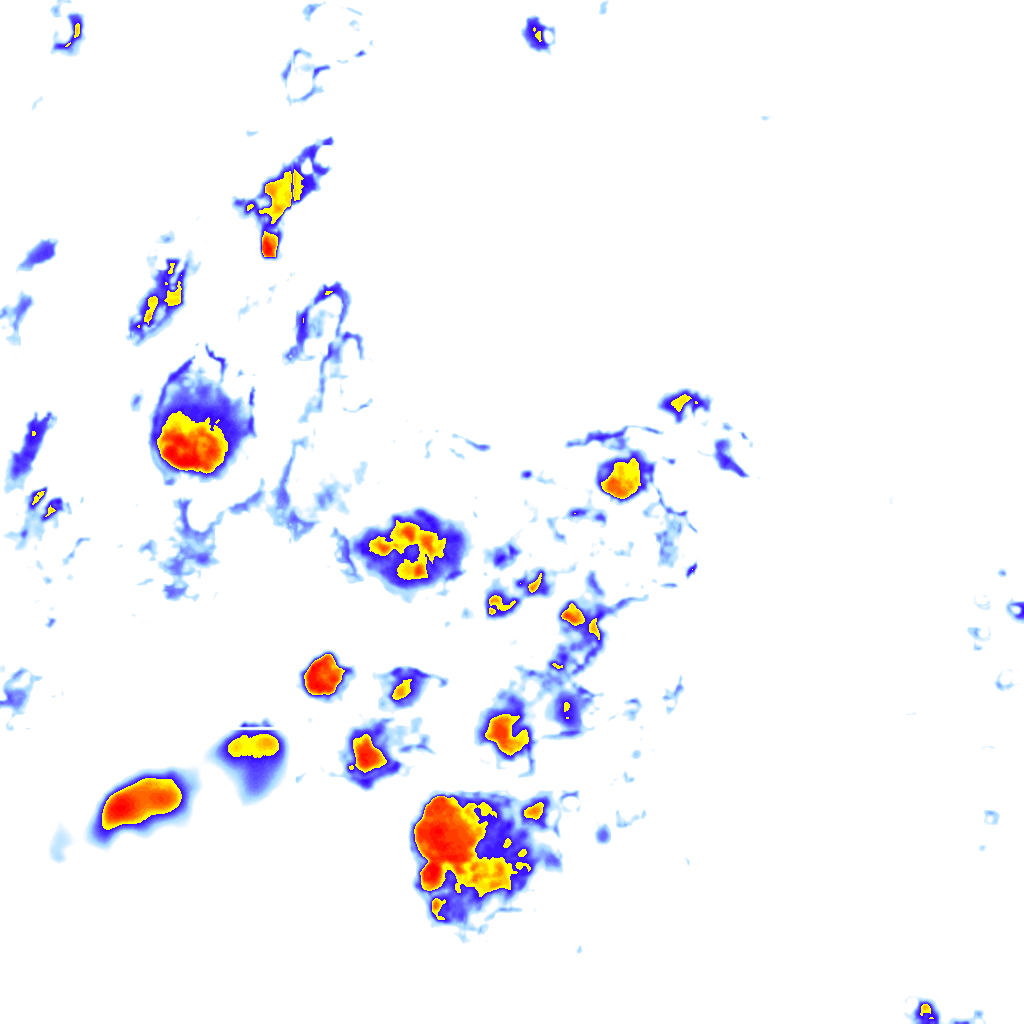 Image Layer