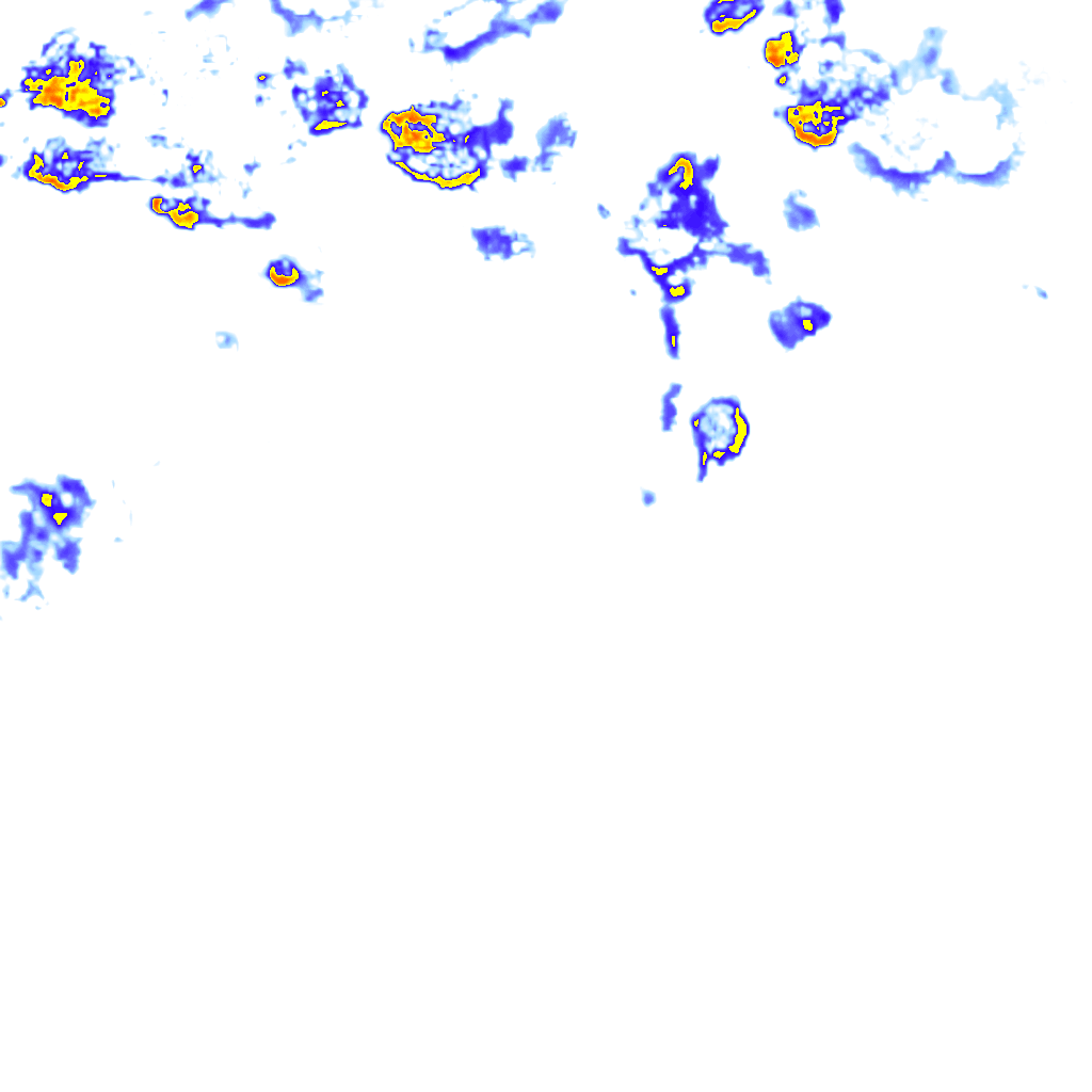 rainLayer