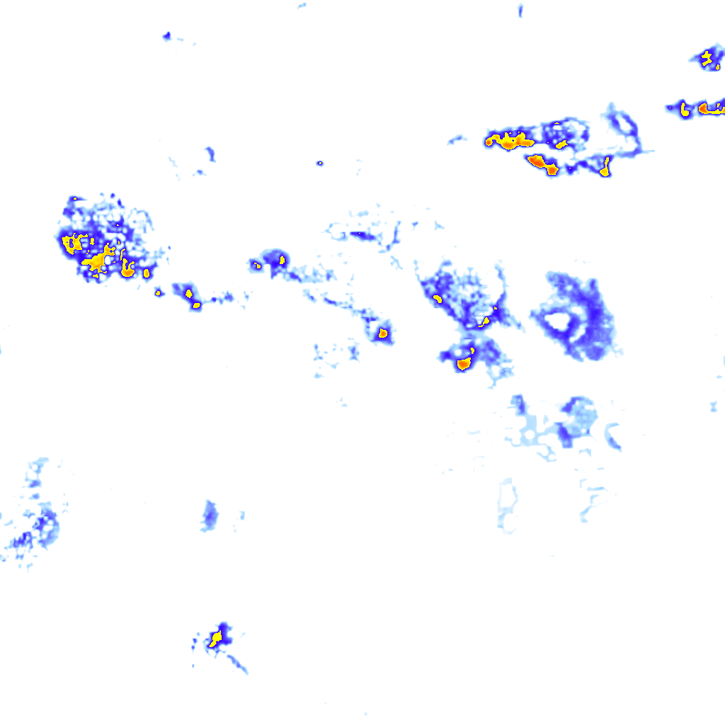 rainLayer