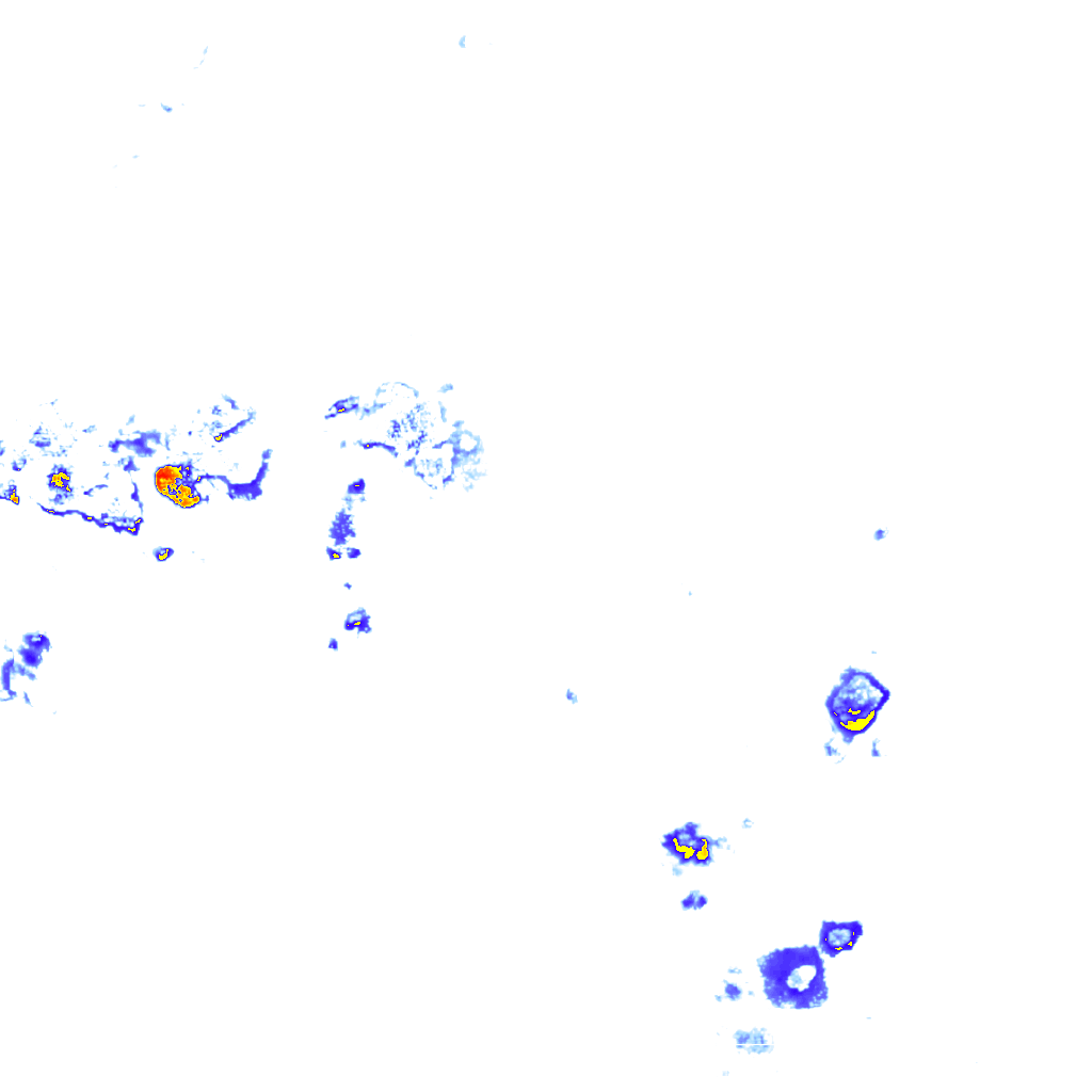 rainLayer