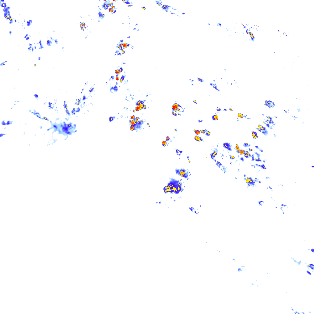 Image Layer