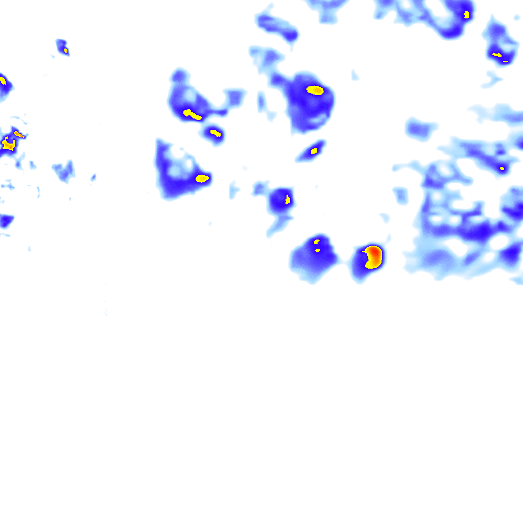 Image Layer