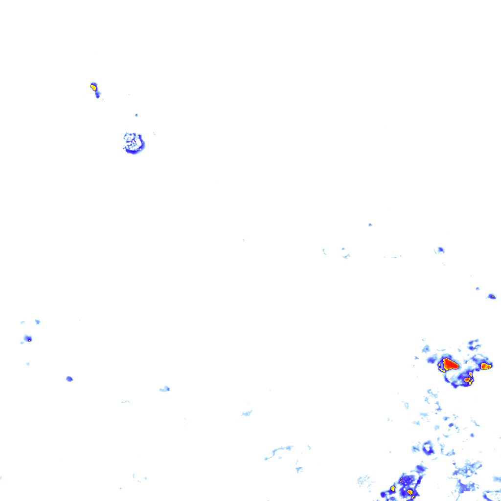 rainLayer