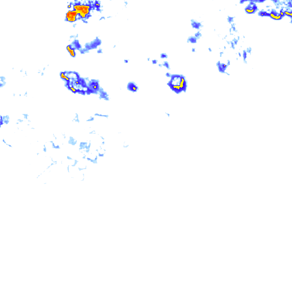 rainLayer