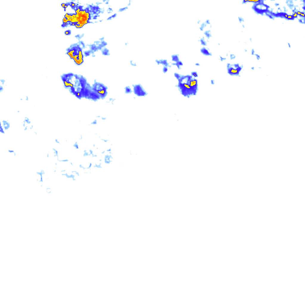 rainLayer