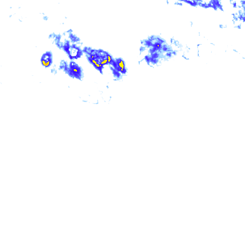 rainLayer