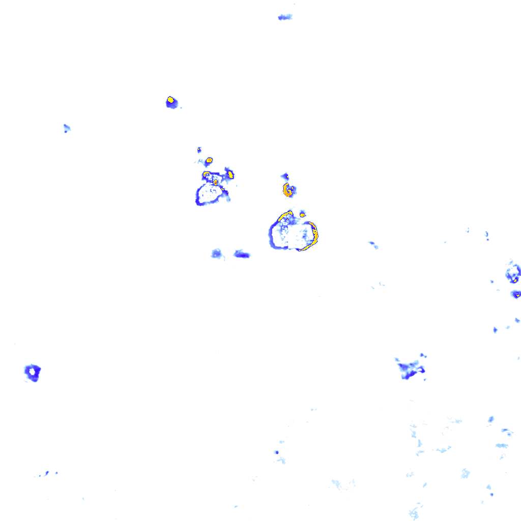 Image Layer