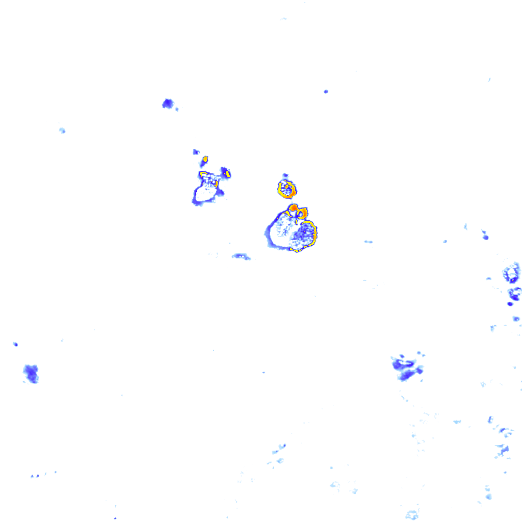 Image Layer