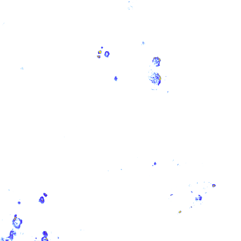rainLayer