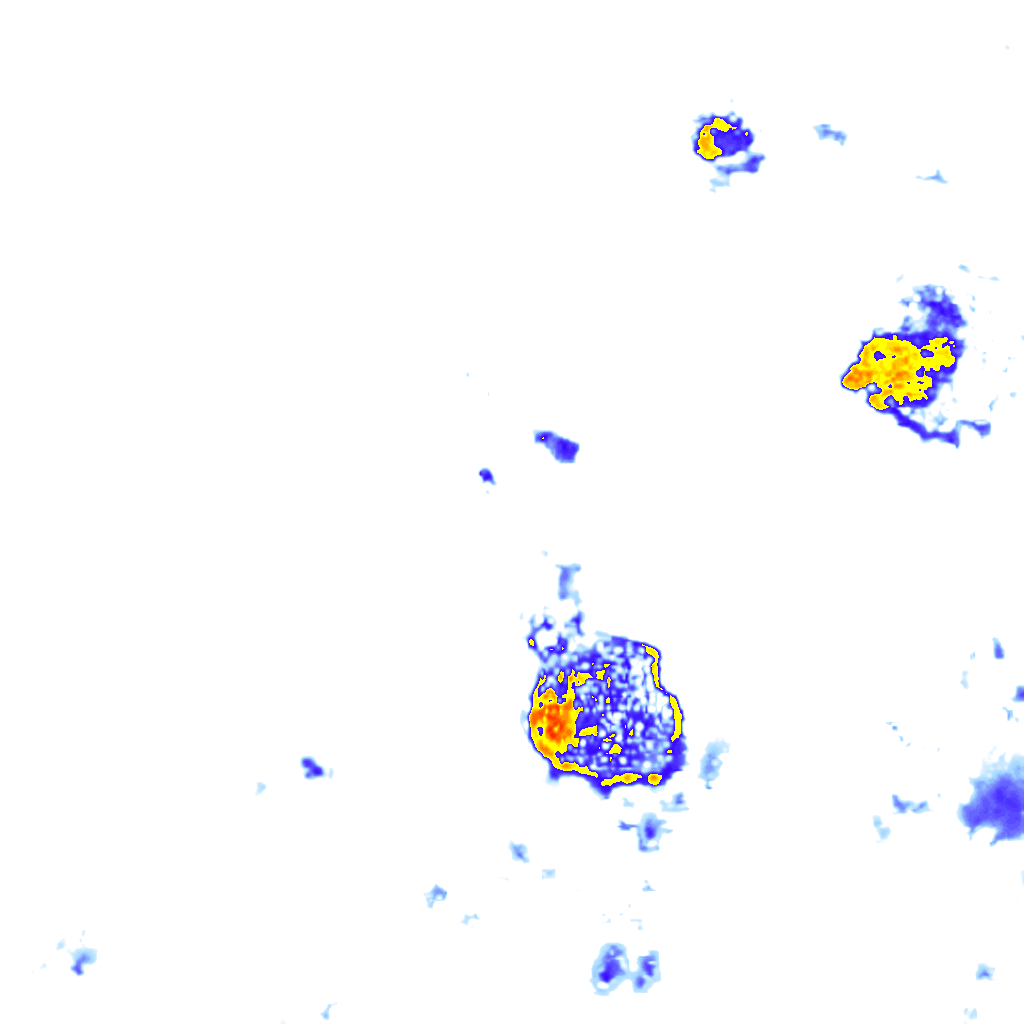 rainLayer