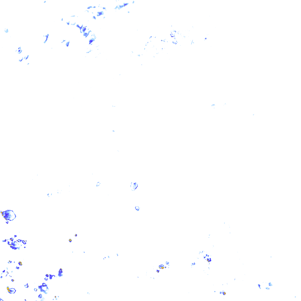 rainLayer