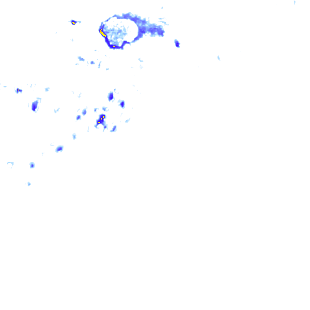 rainLayer