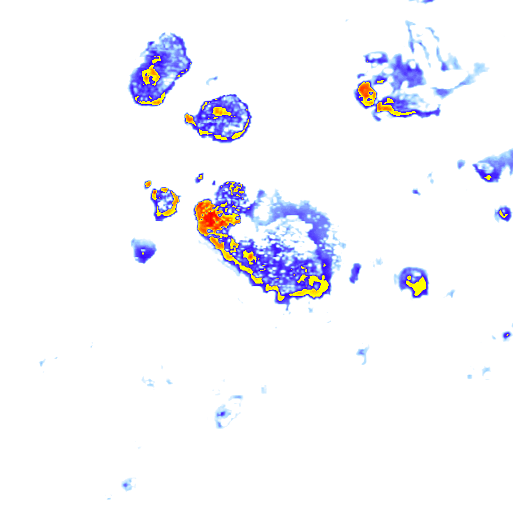 Image Layer