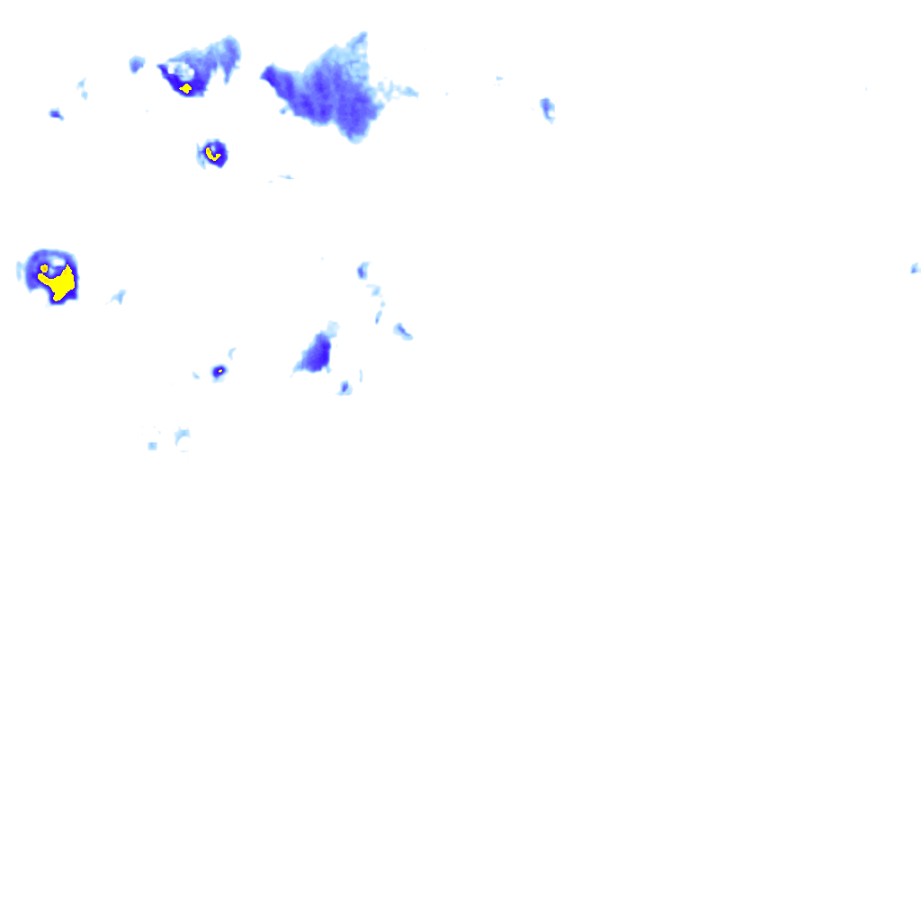 rainLayer