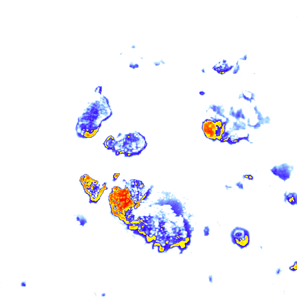 Image Layer