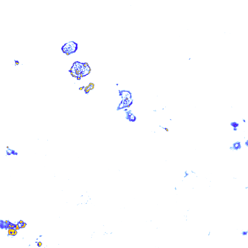 rainLayer