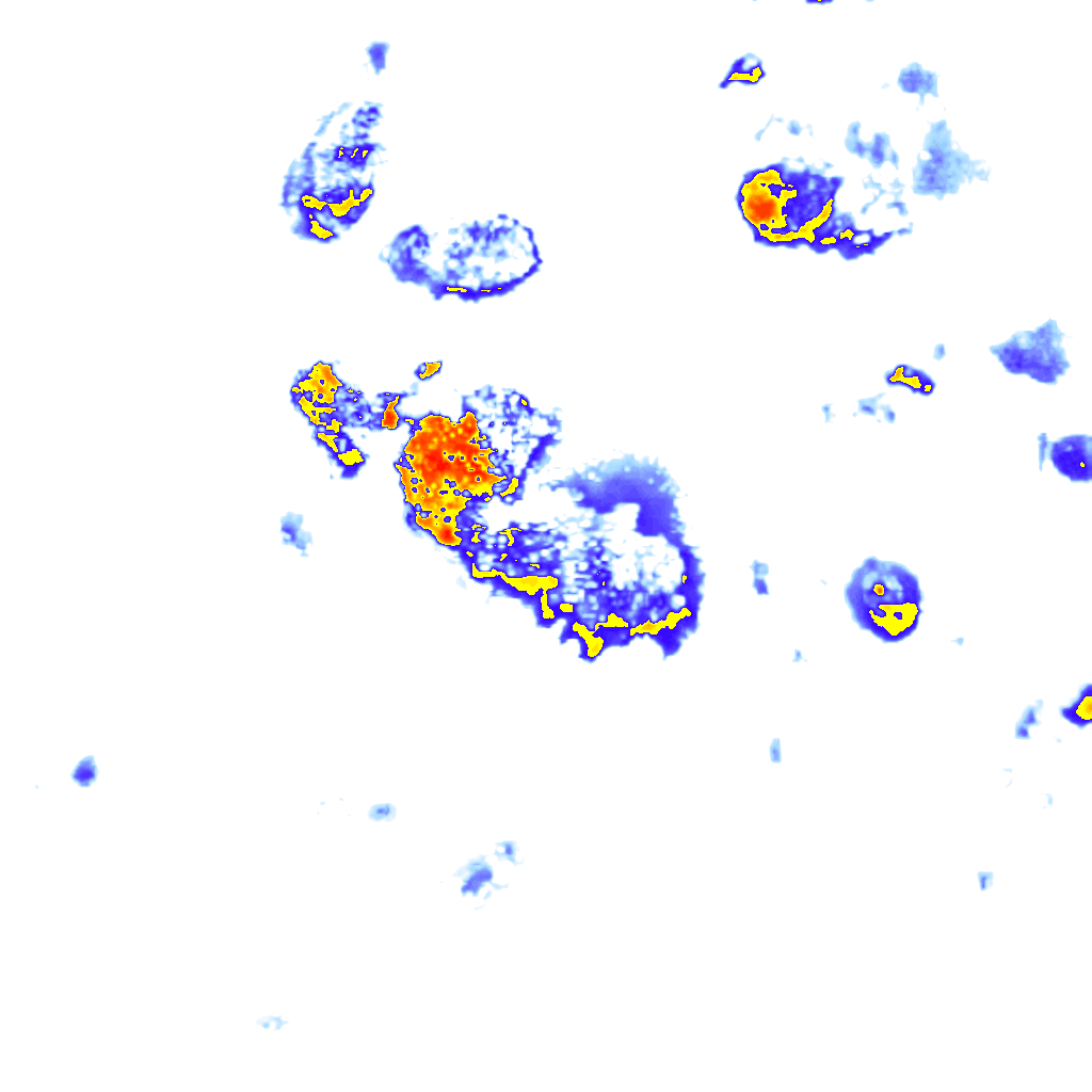 rainLayer