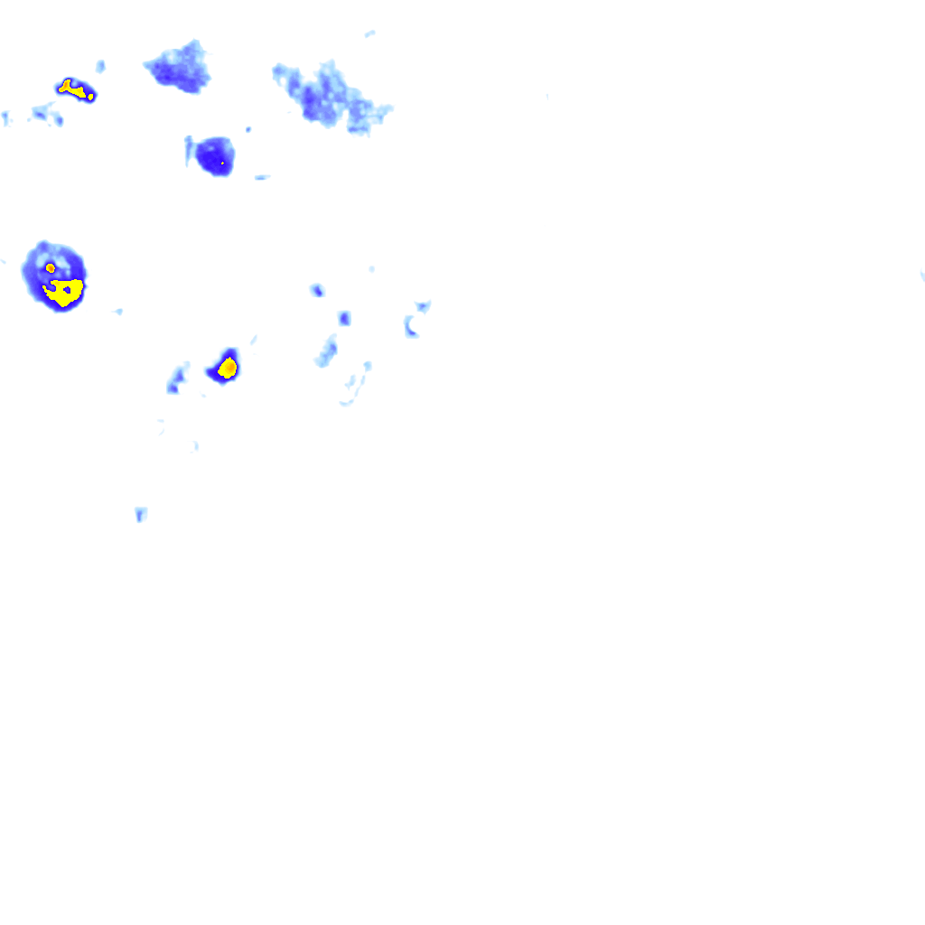 rainLayer