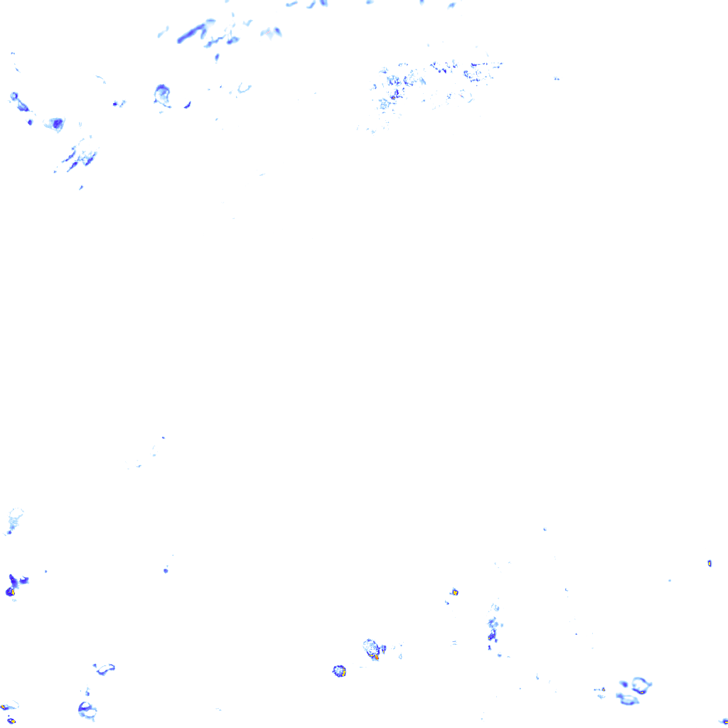 rainLayer