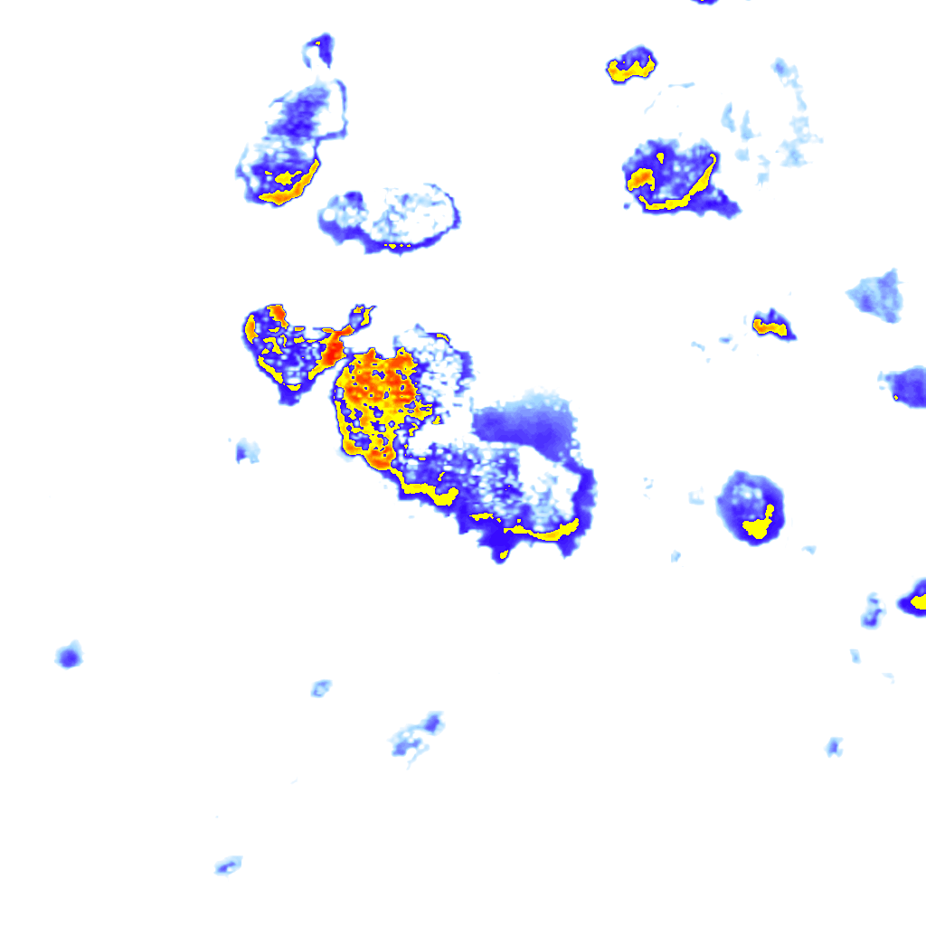 rainLayer