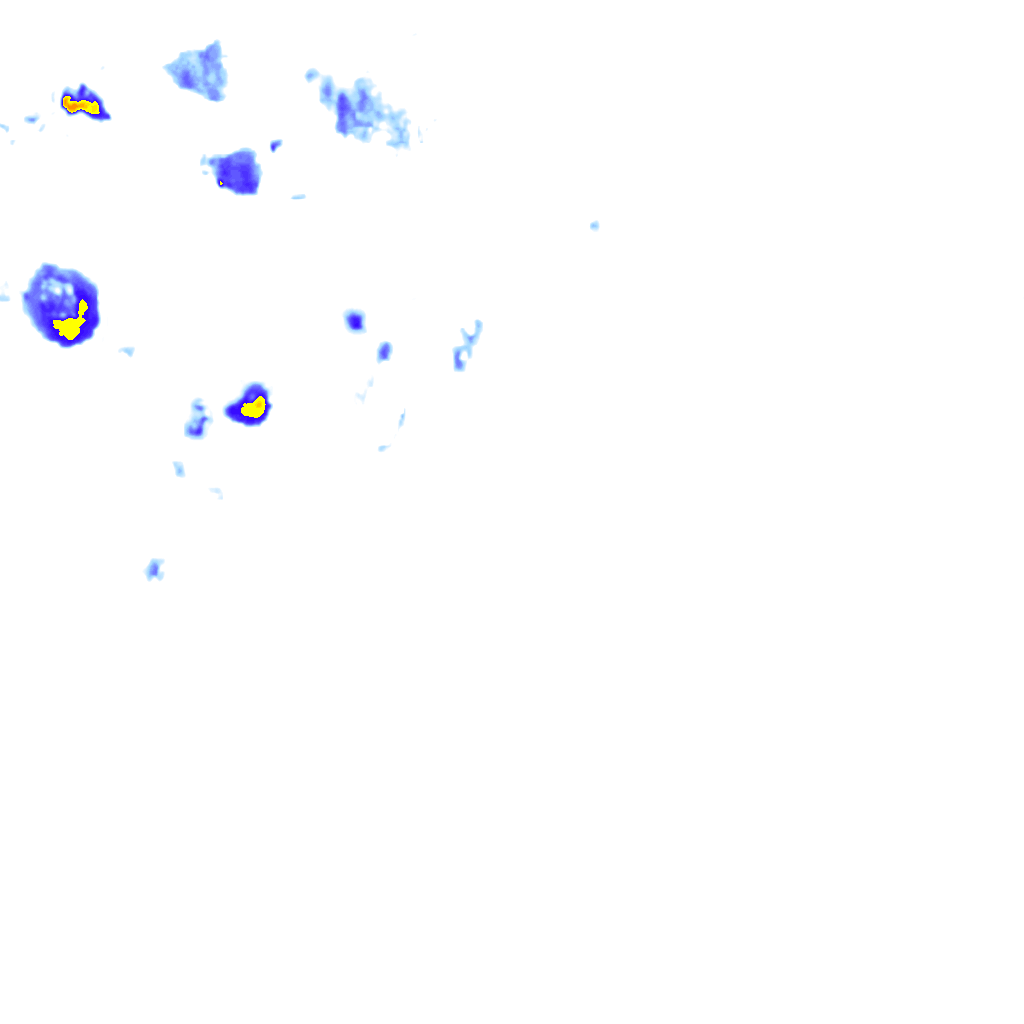 rainLayer