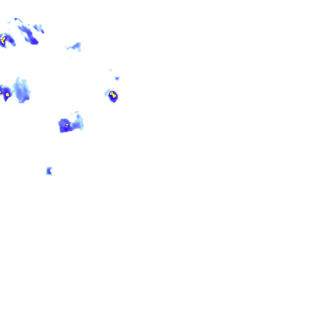 rainLayer