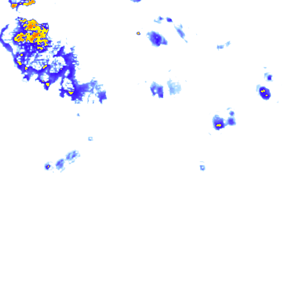 rainLayer