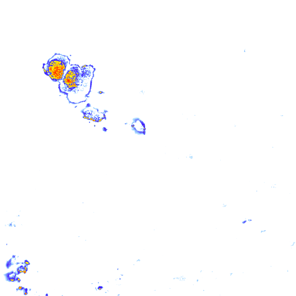 rainLayer