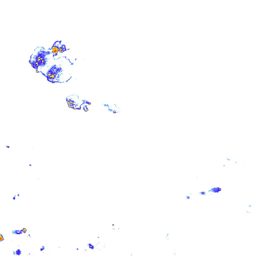 rainLayer