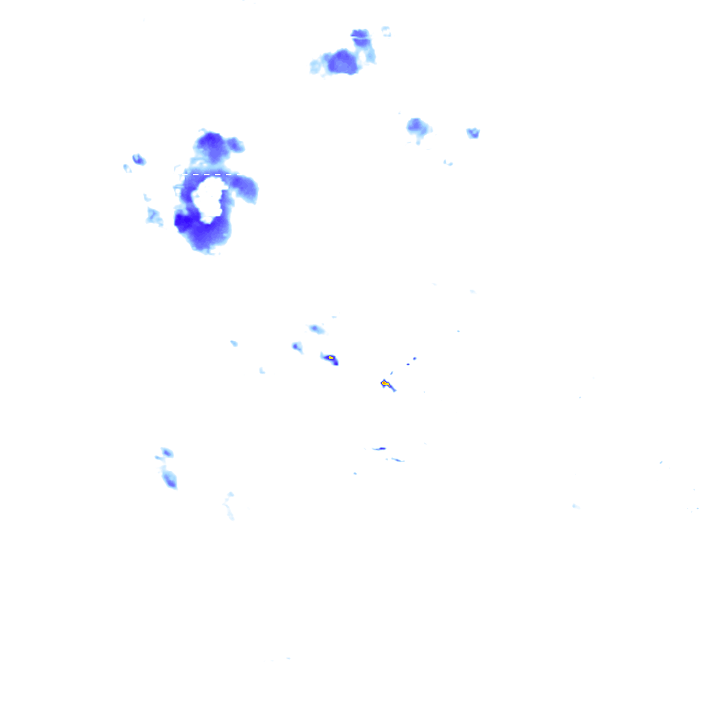 rainLayer