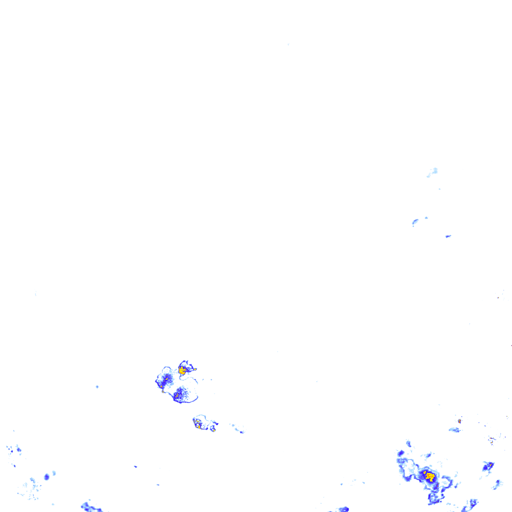 rainLayer