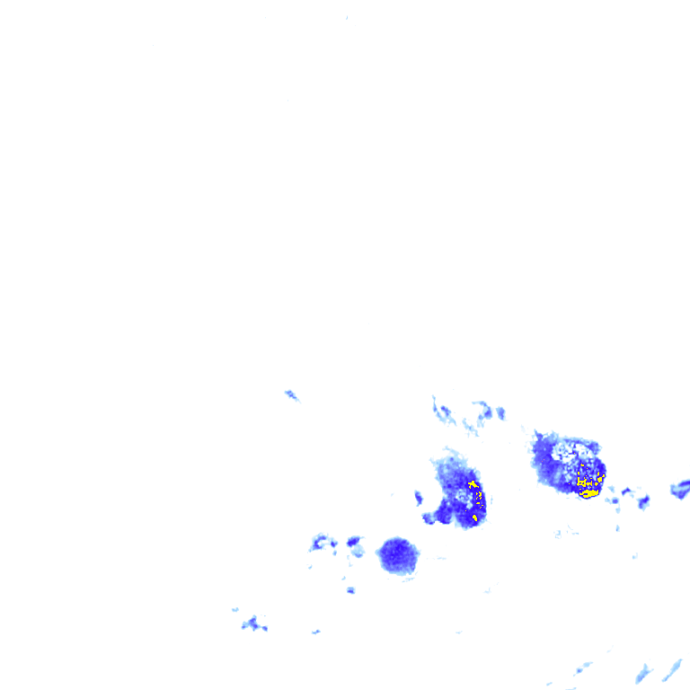 rainLayer