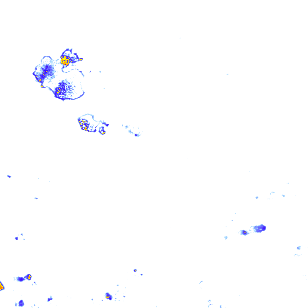 rainLayer