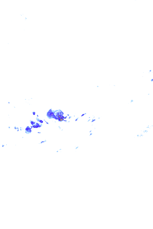 Image Layer