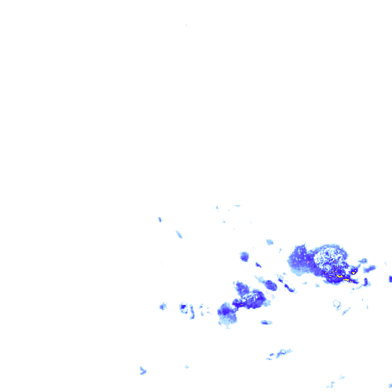 rainLayer