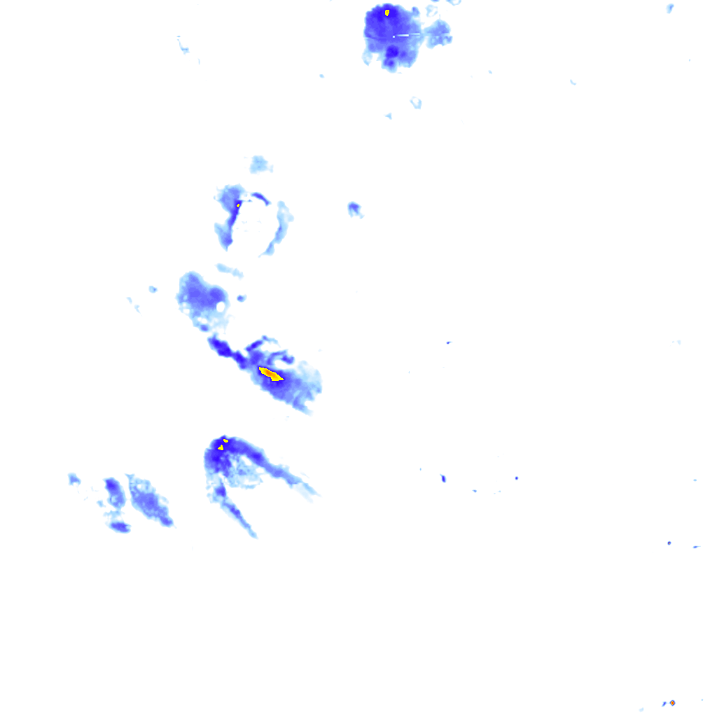 rainLayer