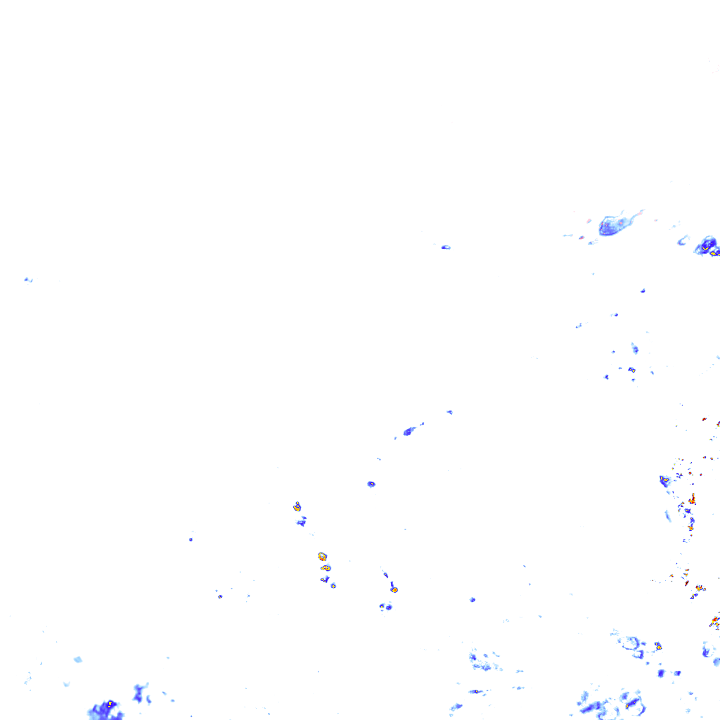 rainLayer