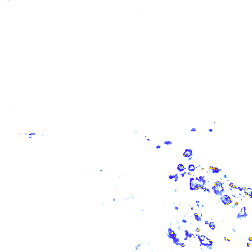 rainLayer